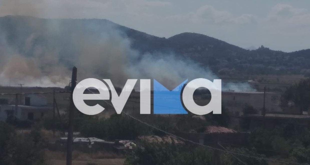 Φωτιά Εύβοια