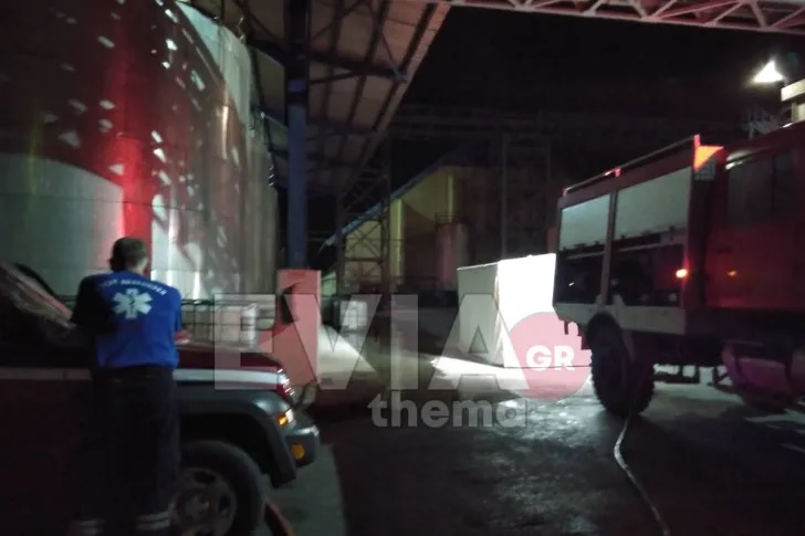 Εύβοια φωτιά