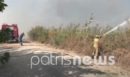 Ηλεία: Φωτιά κοντά σε σπίτια στην Σπιάντζα—Λιποθύμησε πυροσβέστης
