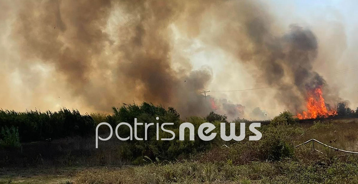 φωτιά Ηλεία 