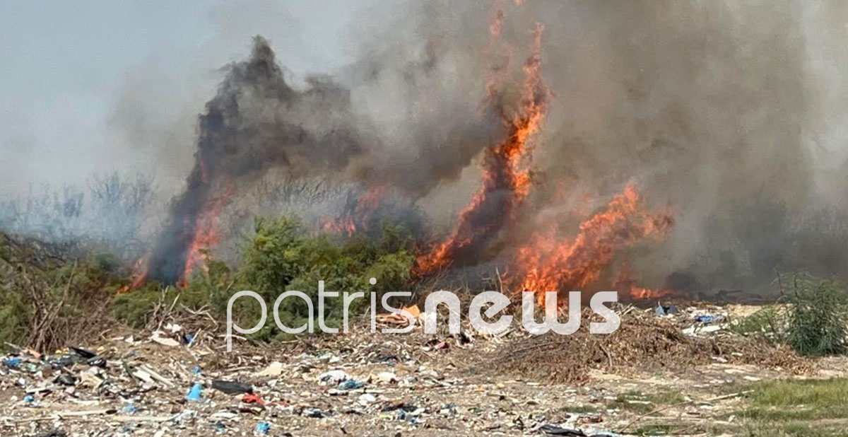 φωτιά Ηλεία 