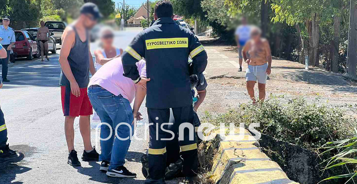 φωτιά Ηλεία 