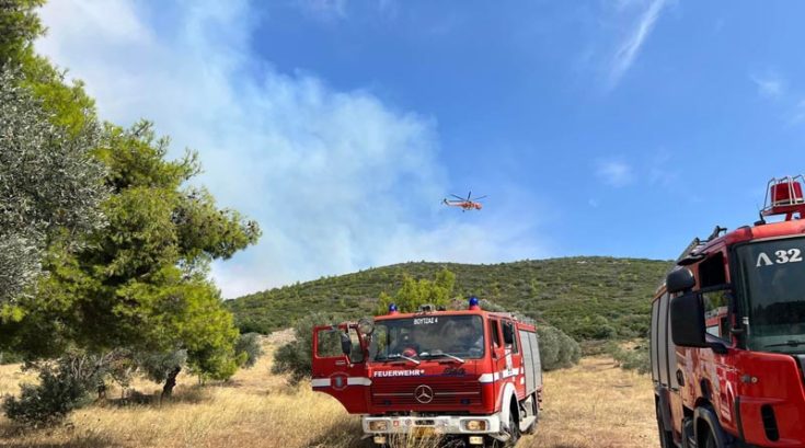 φωτιά στο Γραμματικό