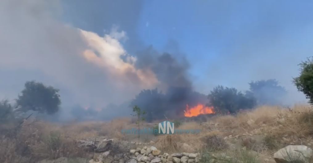 φωτιά στη Ναυπακτία
