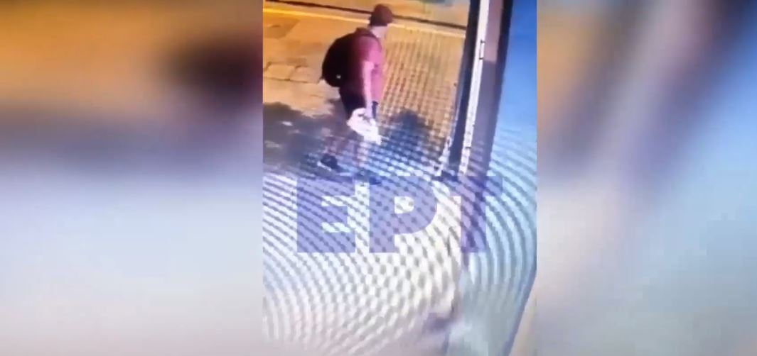 Θεσσαλονίκη: Βίντεο φρίκης—Άνδρας σκοτώνει γατάκι