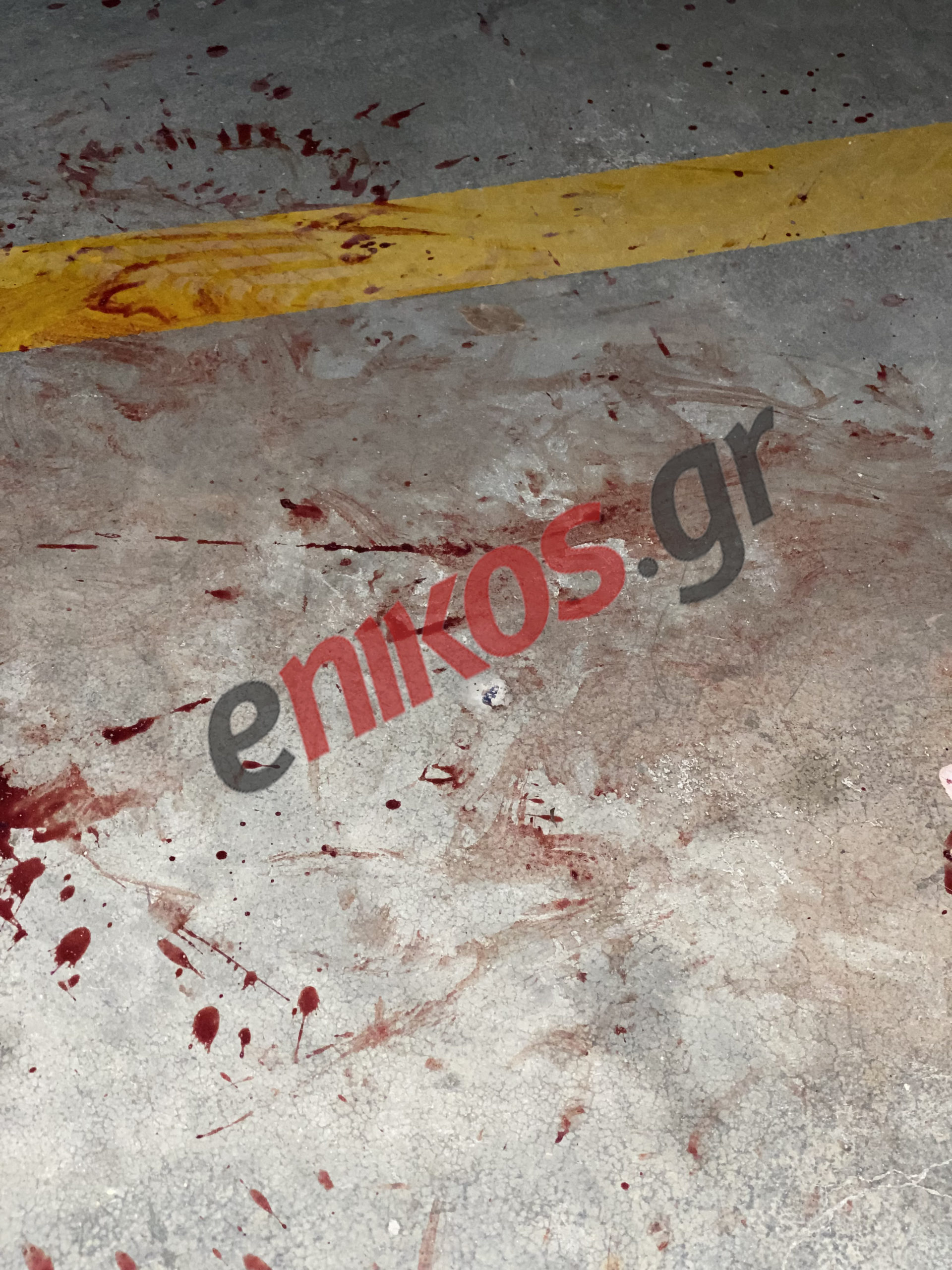 Κτηνωδία Γατάκι Θεσσαλονίκη