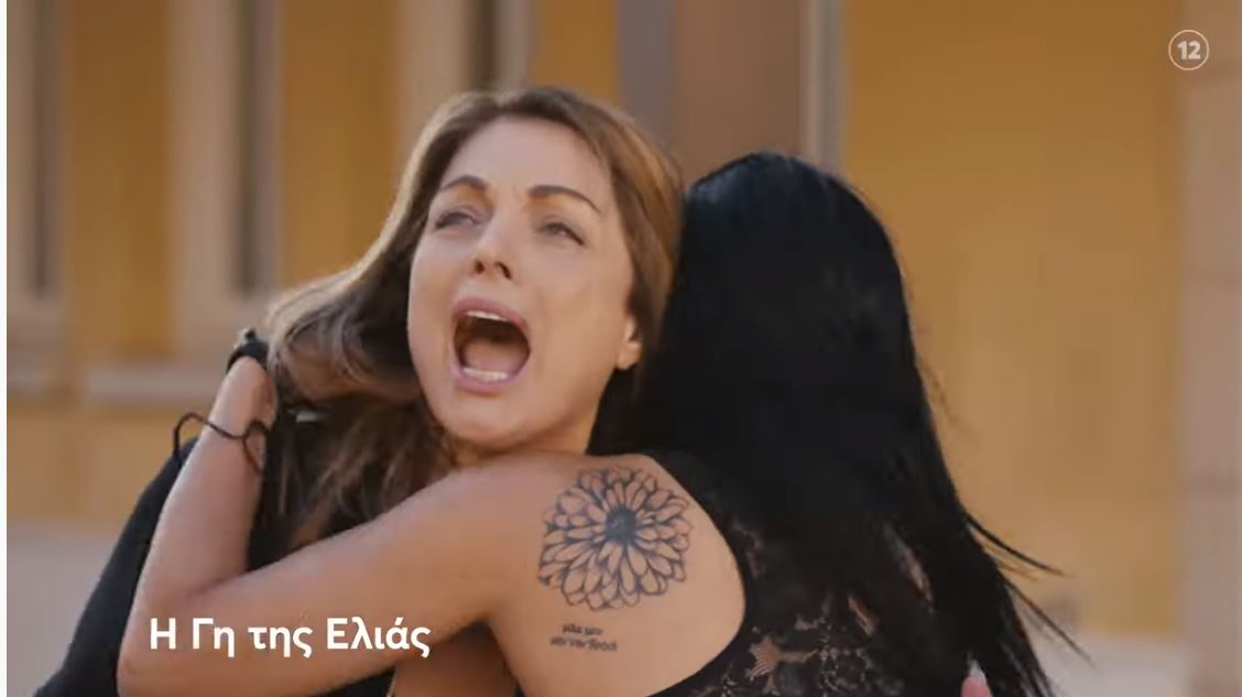 Η Γη της Ελιάς