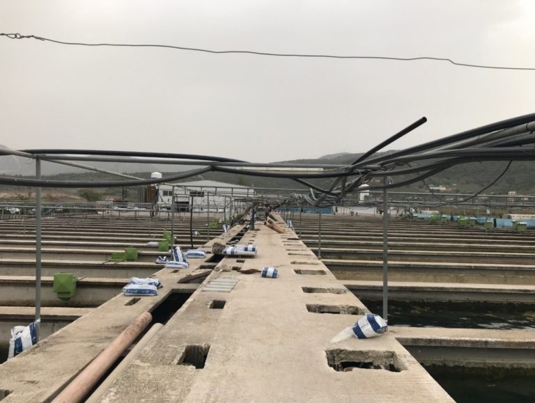 ιχθυοτροφείο