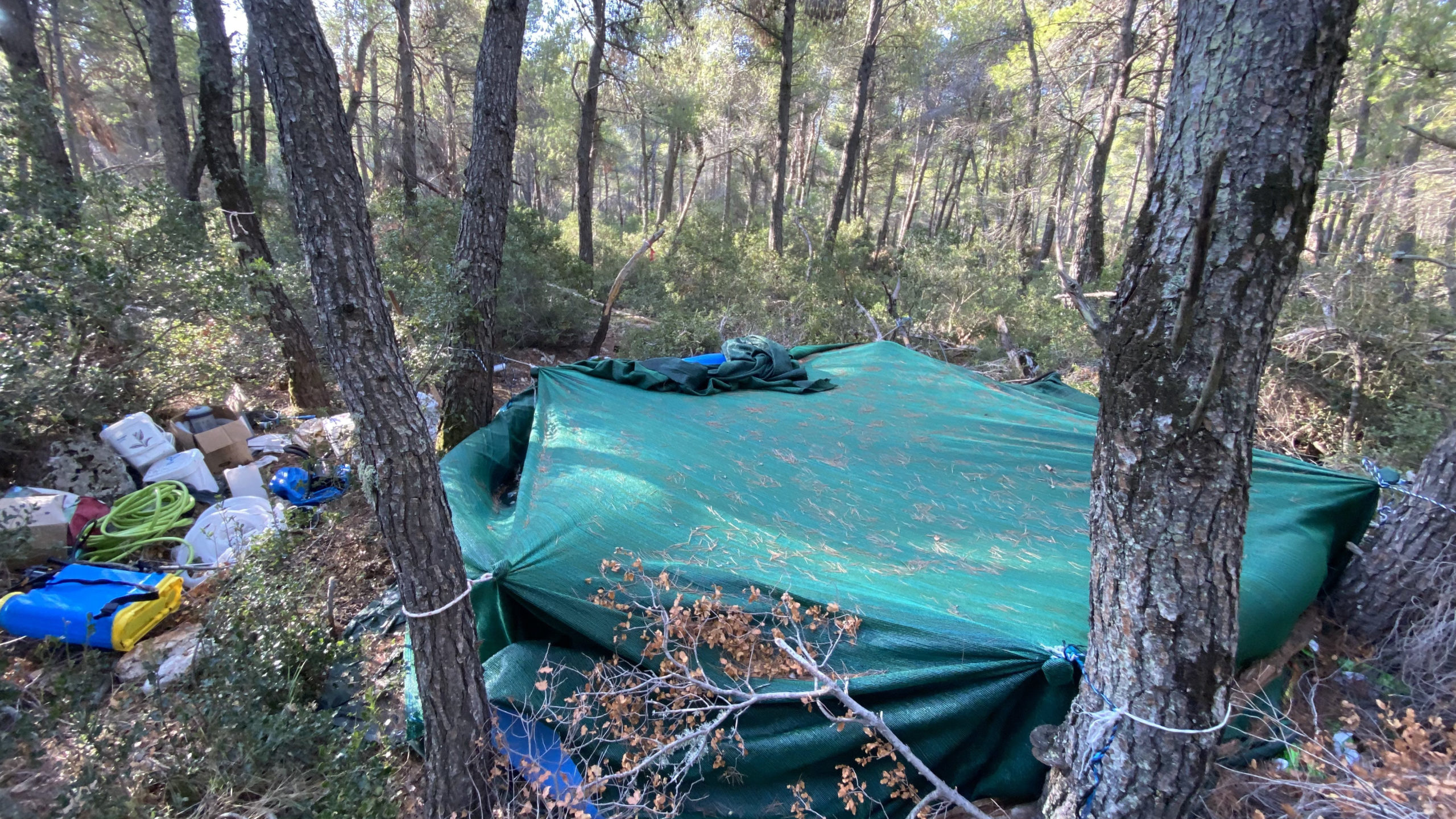 κύκλωμα κάνναβη