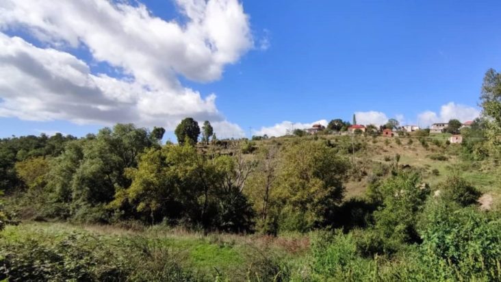 Καστοριά ηλικιωμένη εξαφάνιση