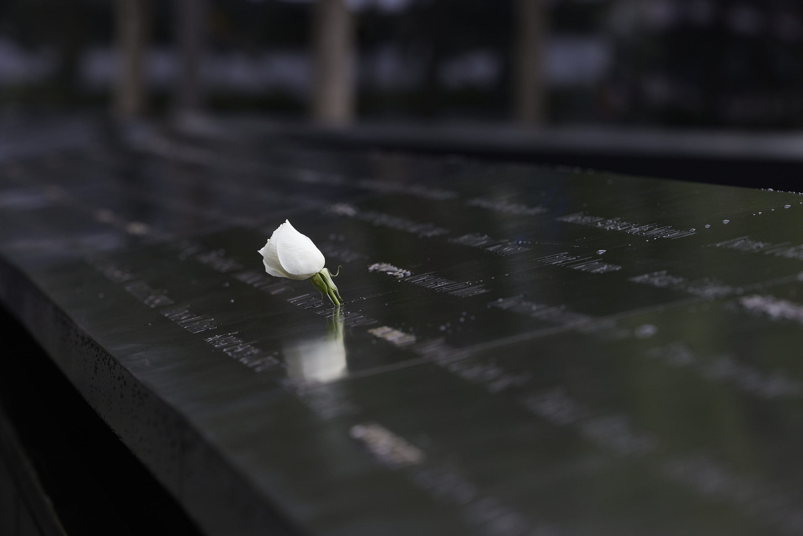 Κυριάκος Μητσοτάκης Δίδυμοι Πύργοι