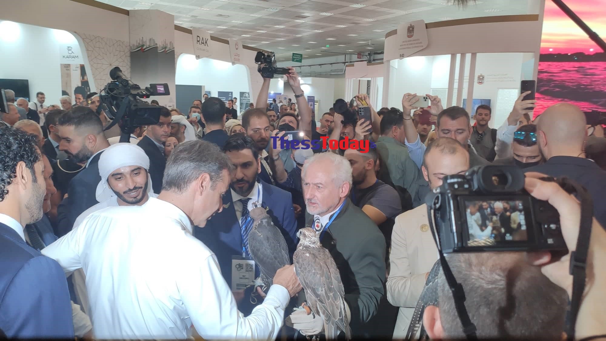 Μητσοτάκης γεράκια