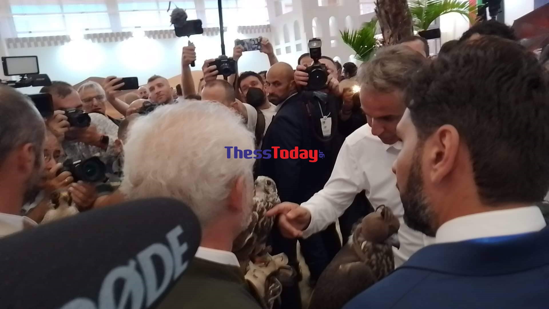 Μητσοτάκης γεράκια