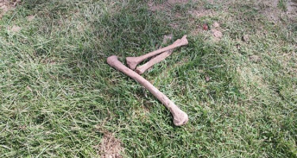 οστά Τρίκαλα