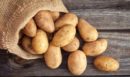 Γιατί έγινε… sold out η πατάτα Νάξου—Τι λέει στο enikos.gr ο πρόεδρος της Ένωσης Αγροτικών Συνεταιρισμών