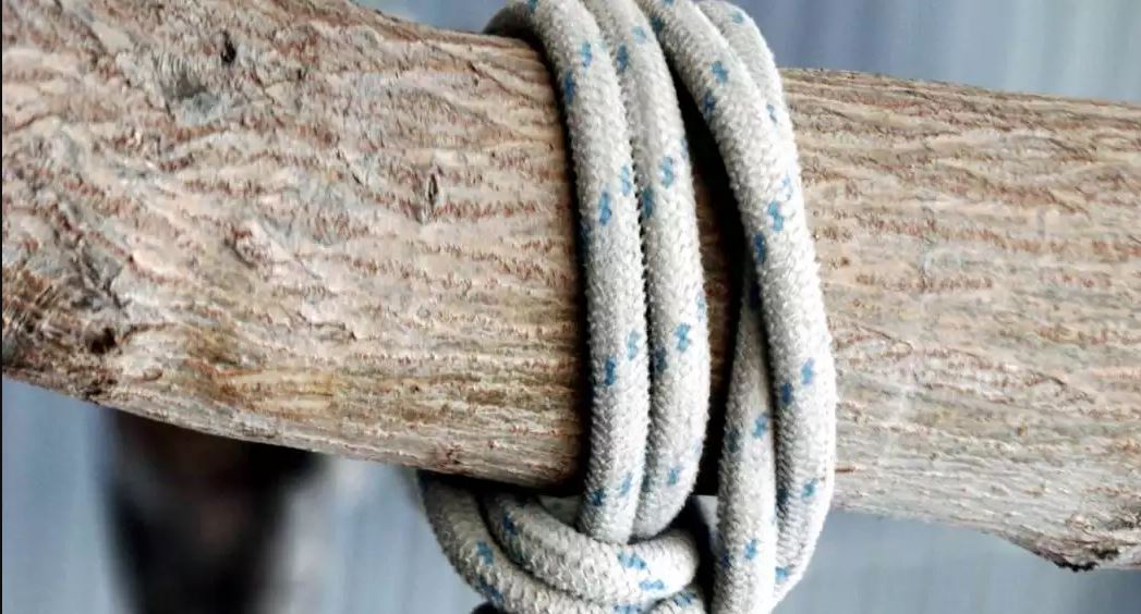 σχοινί σε δέντρο