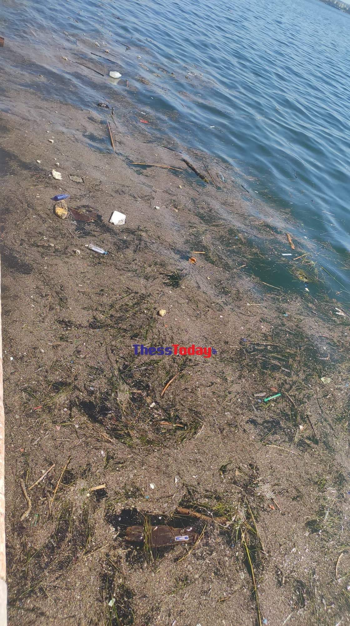 θερμαϊκός Θεσσαλονίκη