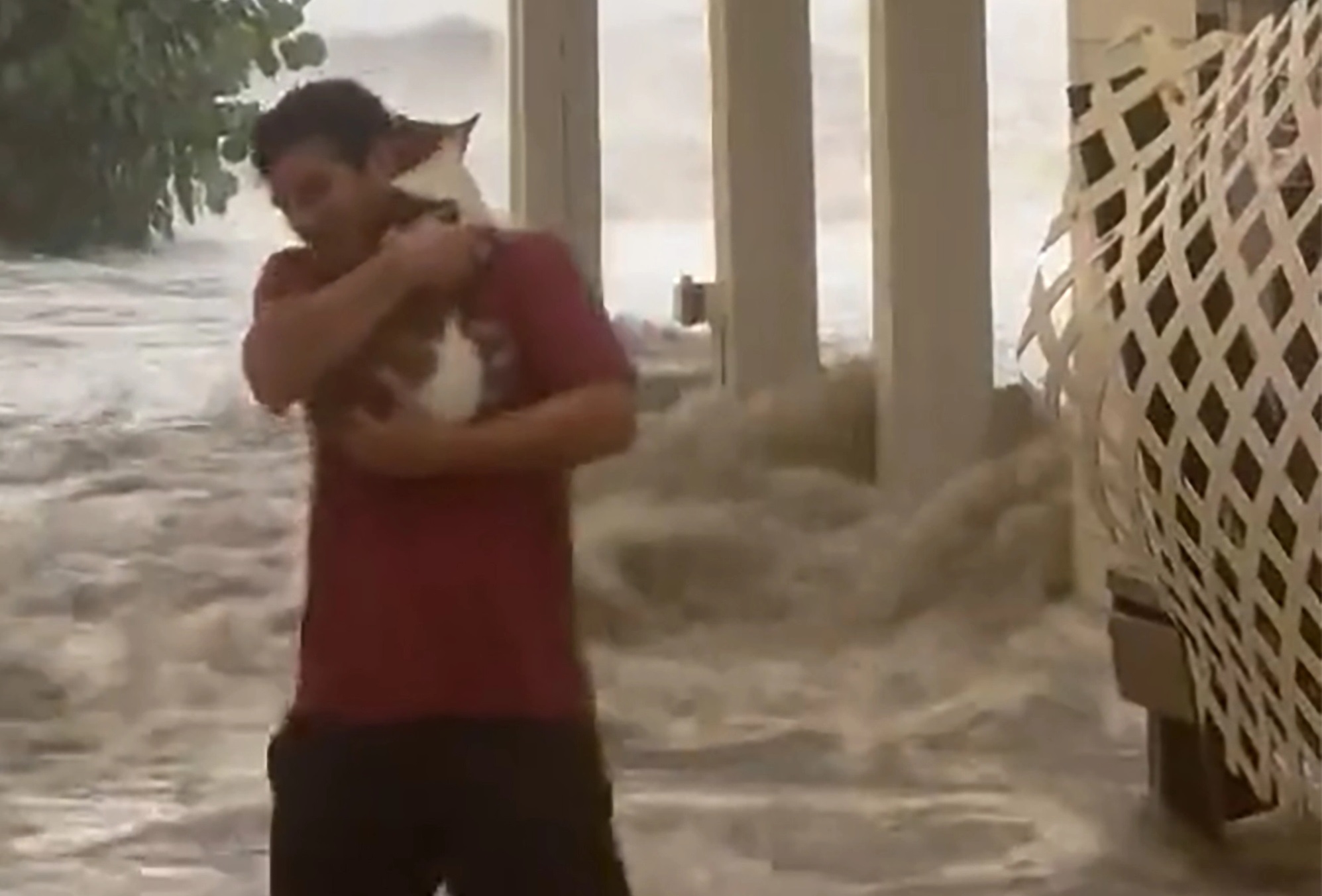 Τυφώνας Ίαν Γάτα