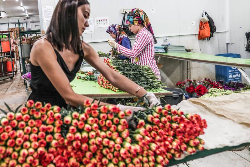 Τουρκία Λουλούδια