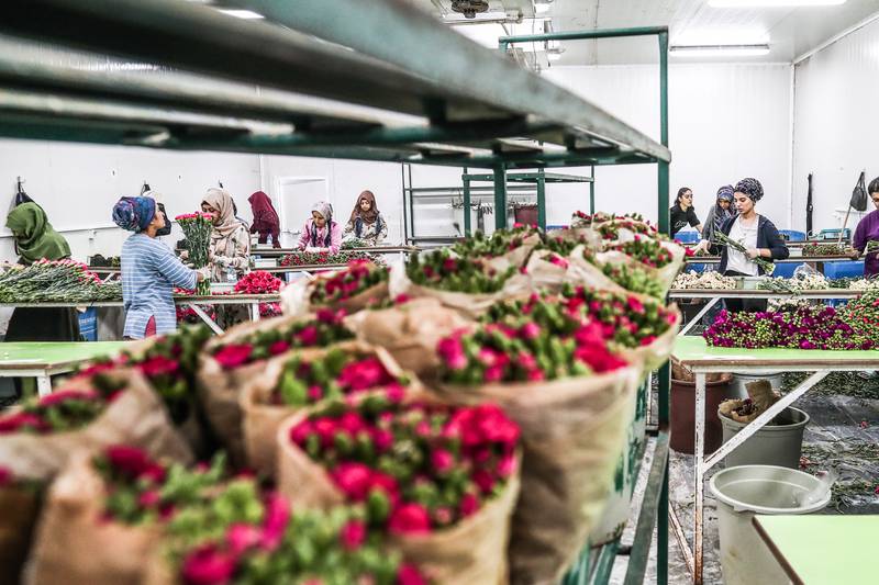 Τουρκία Λουλούδια