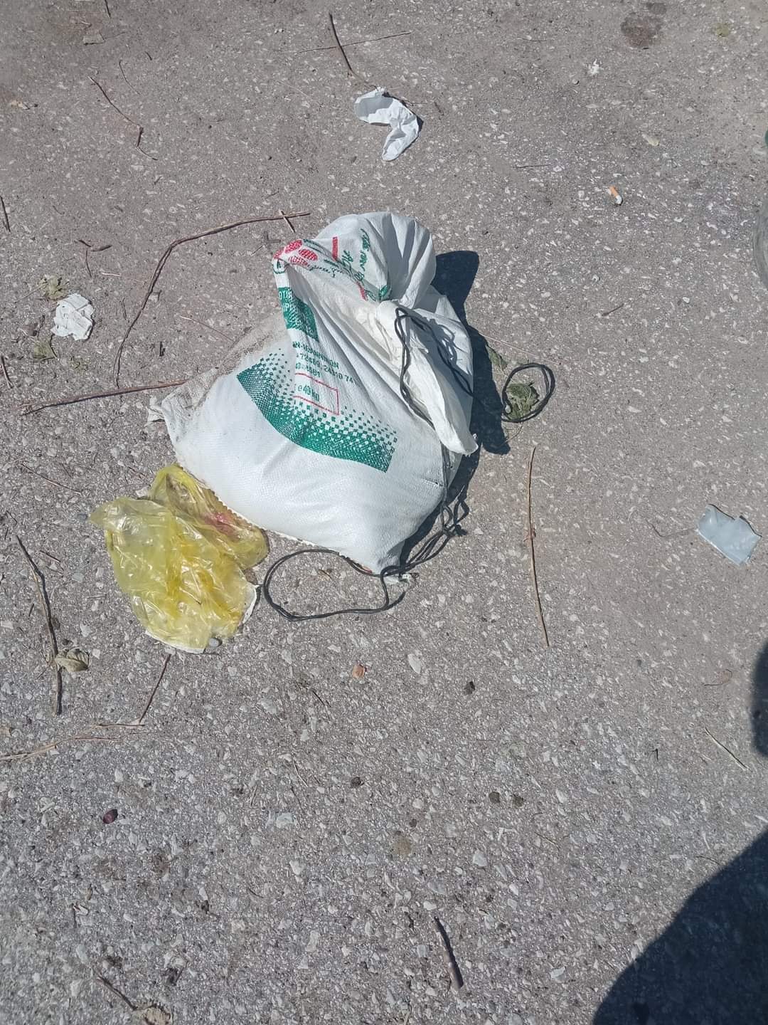 Τρίκαλα κουτάβια