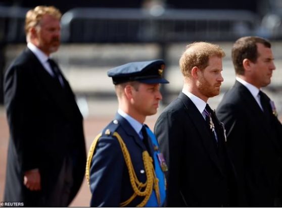 πρίγκιπες Χάρι και Γουίλιαμ