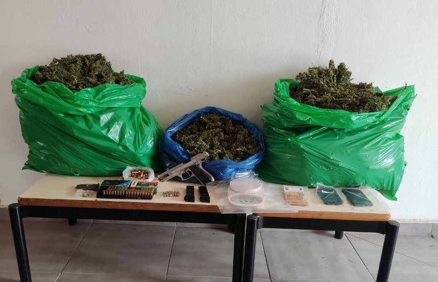 Ζωνιανά ναρκωτικά