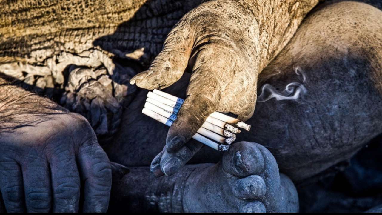 πιο βρώμικος άνθρωπος Ιράν