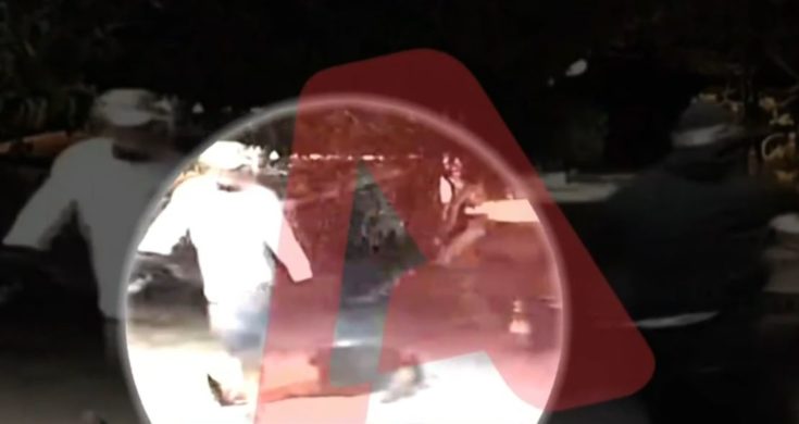 ξυλοδαρμός στην Αίγινα