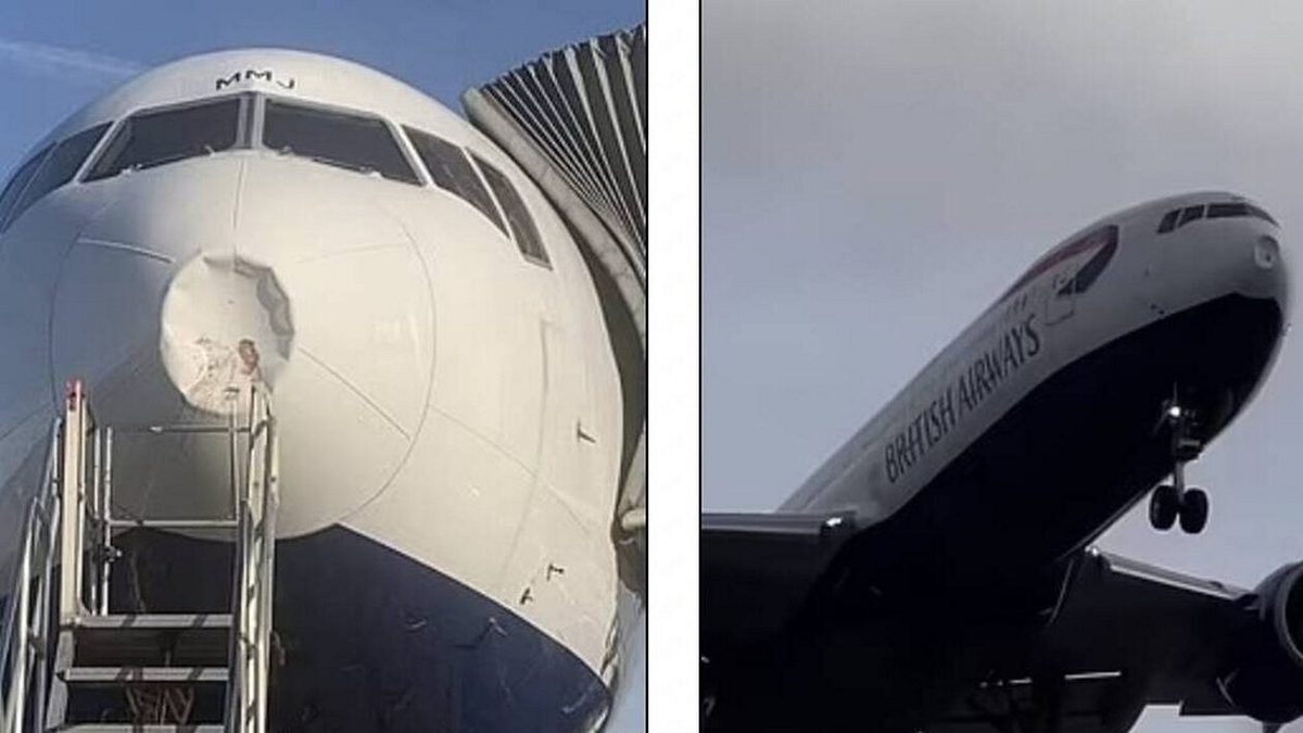 Βρετανία: Το αεροπλάνο που μετέφερε την Καμίλα χτύπησε με πουλί – ΒΙΝΤΕΟ