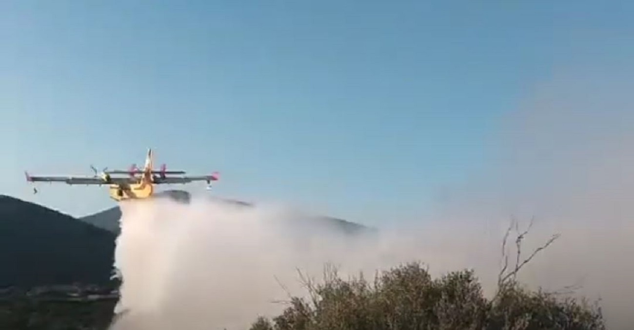 φωτιά Εύβοια