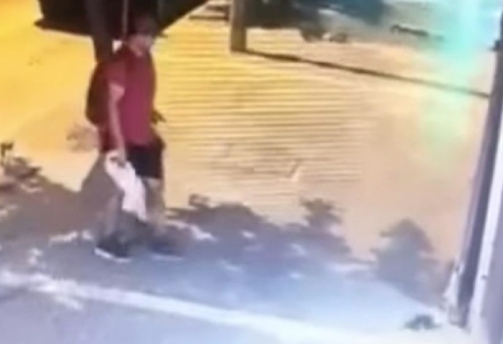 Ποινική δίωξη στον διδάκτορα που ποδοπάτησε κι έλιωσε νεογέννητο γατάκι