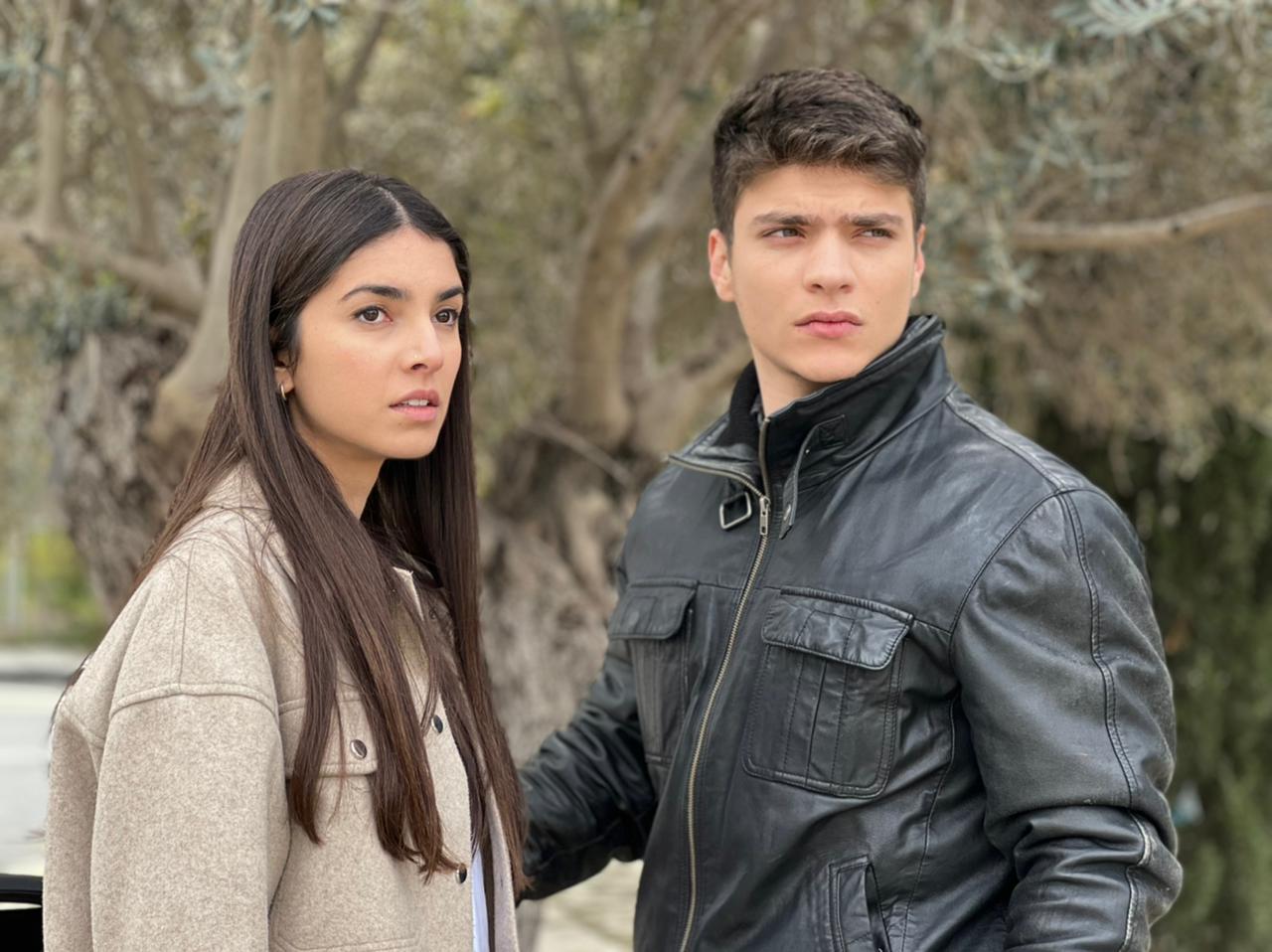 Η Γη της Ελιάς