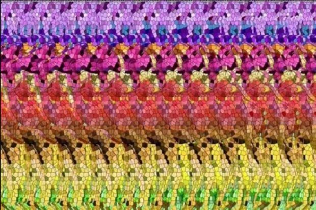 οπτική ψευδαίσθηση