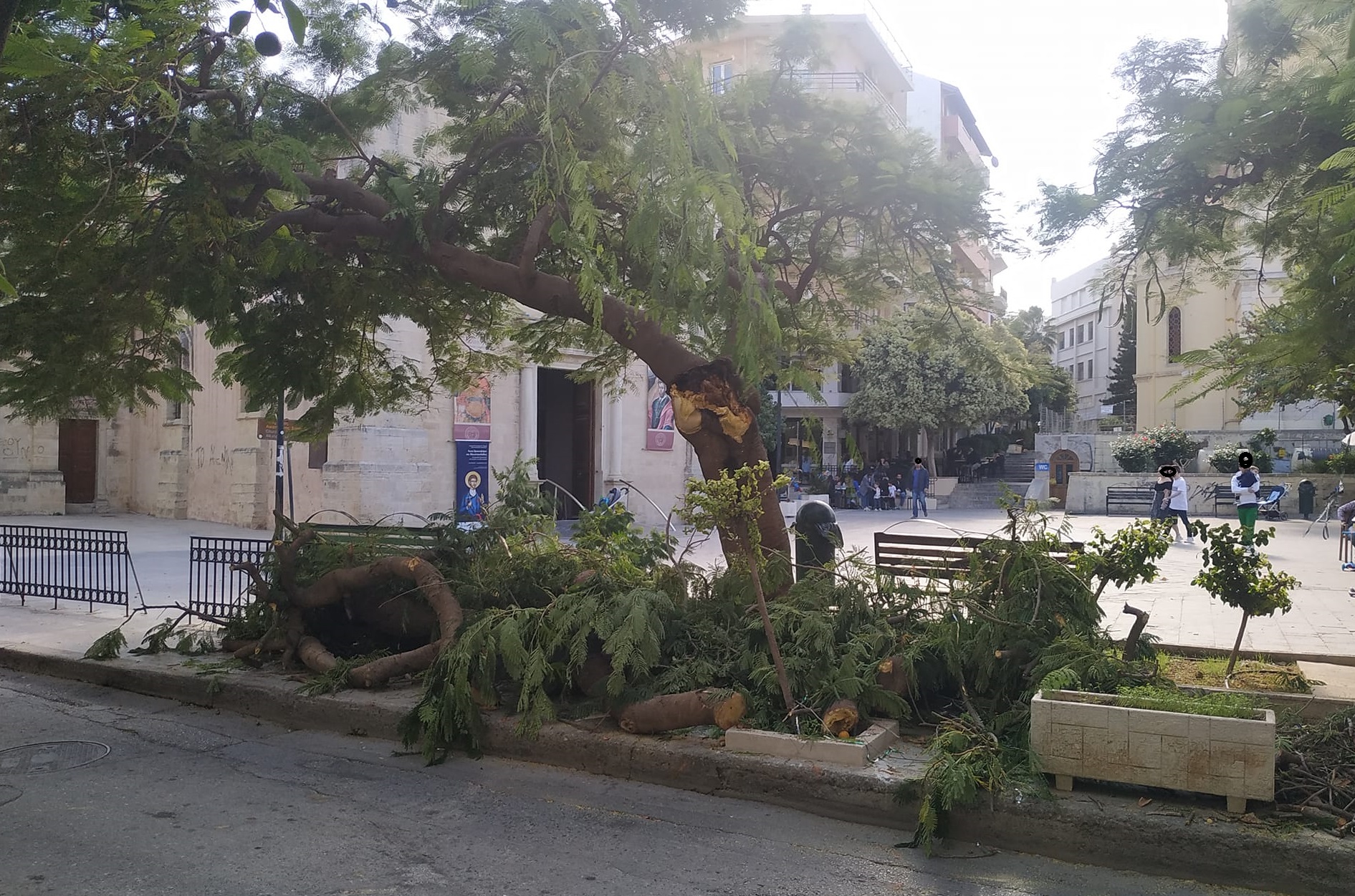 Κρήτη Ηράκλειο πτώση δέντρου