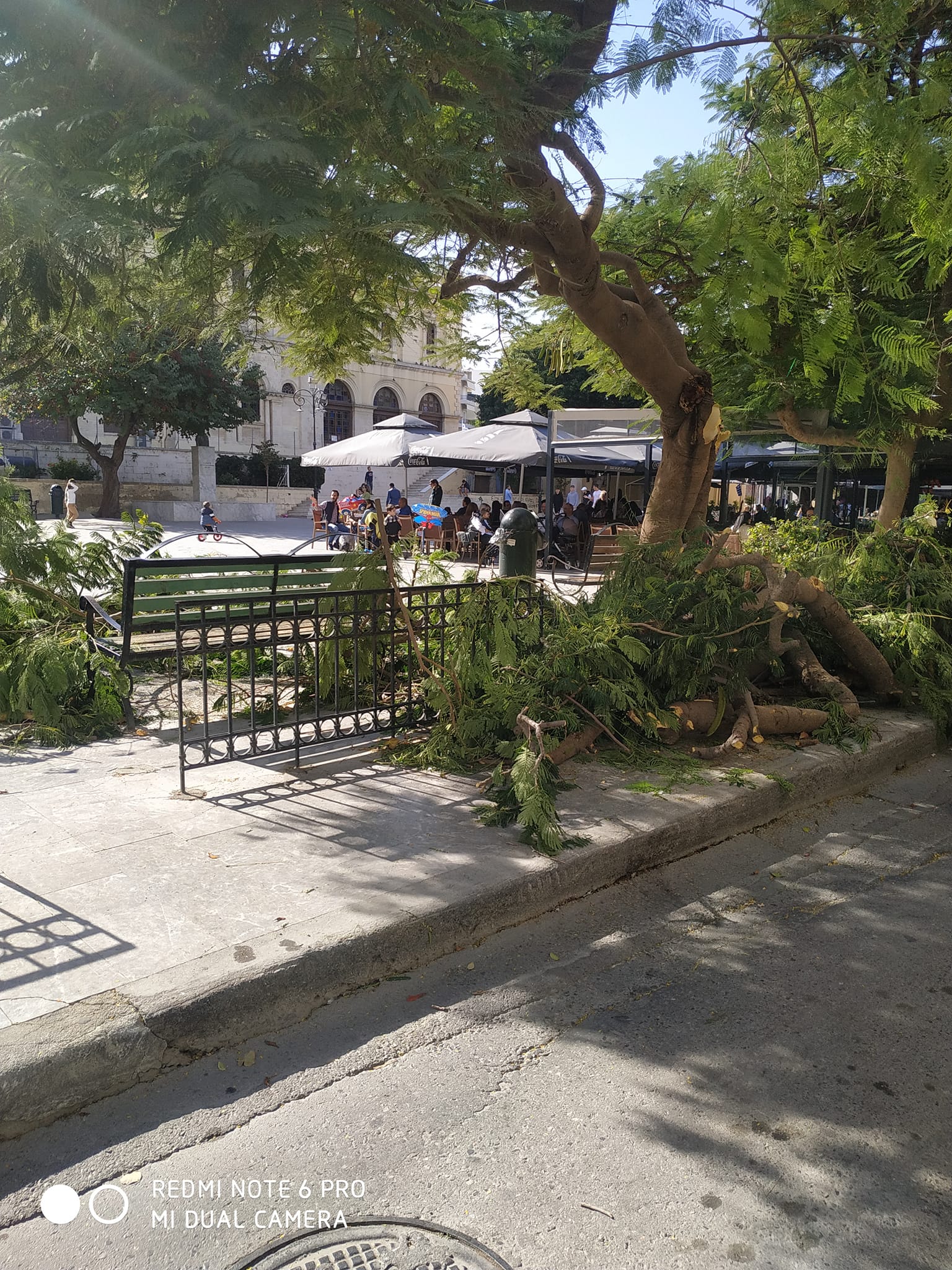 Κρήτη Ηράκλειο πτώση δέντρου