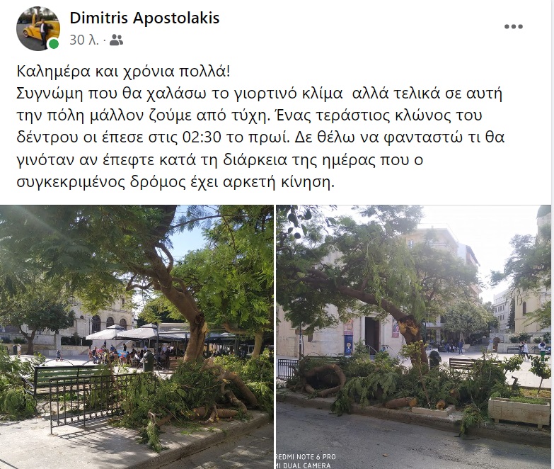 Κρήτη Ηράκλειο πτώση δέντρου