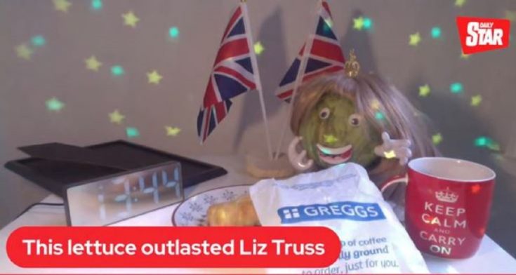 μαρούλι - Λιζ Τρας