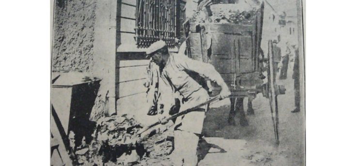 Μαθιός καλάθι του νοικοκυριού