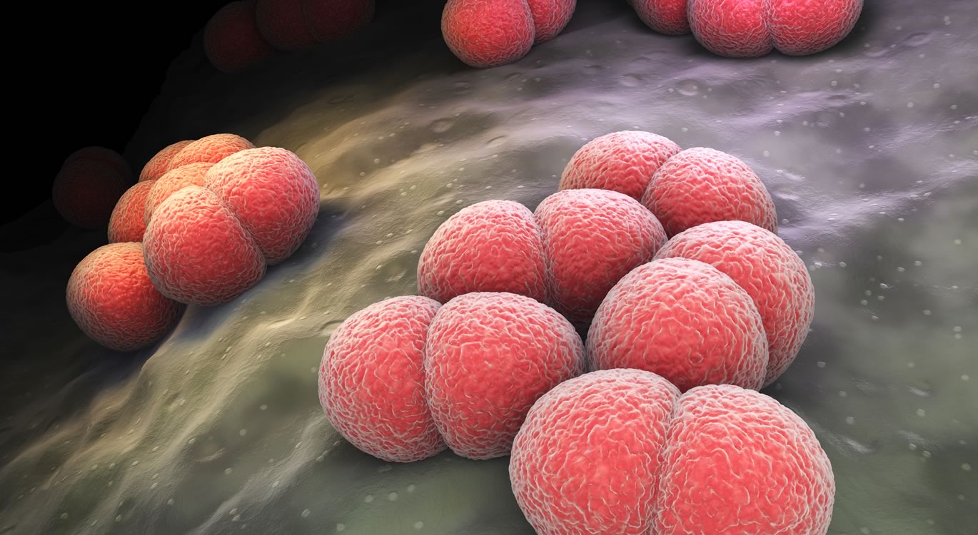 Μηνιγγίτιδα