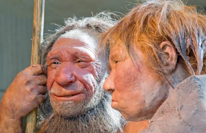 Νεάτερνταλ