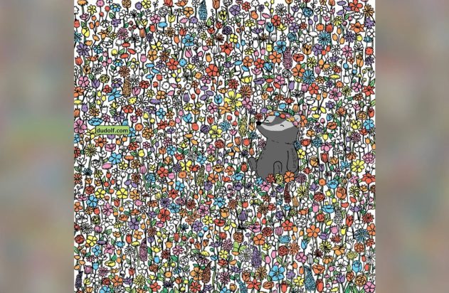 οπτική ψευδαίσθηση