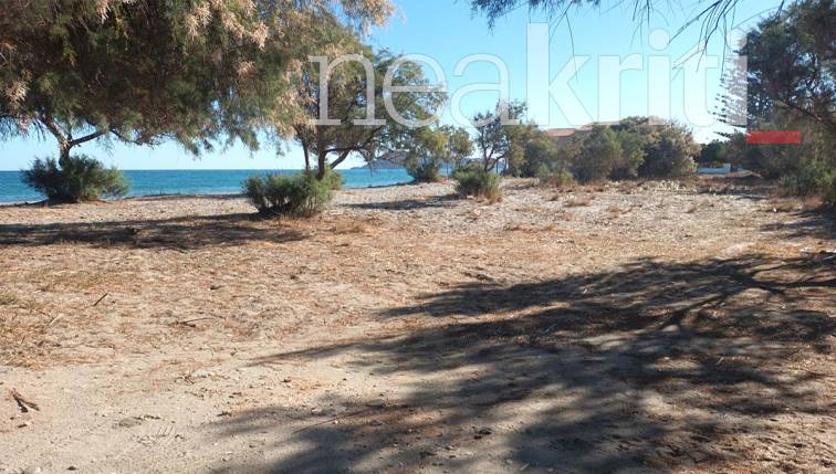 Παραλία Βιασμός