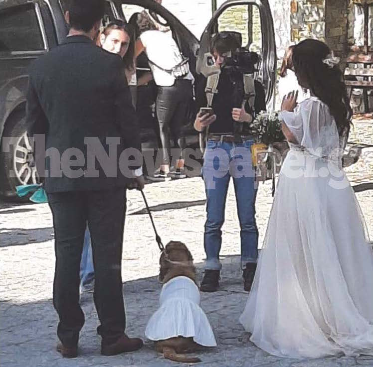 σκύλος Πήλιο