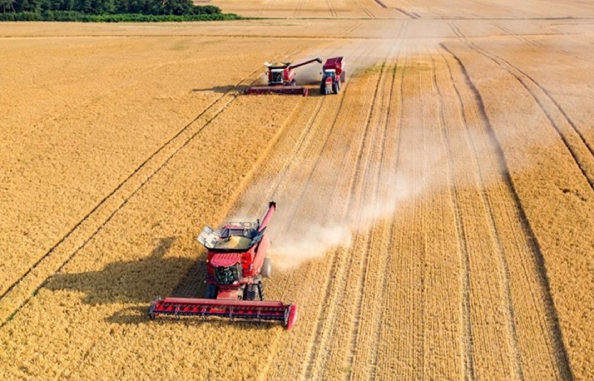Σιτηρά Ρωσία