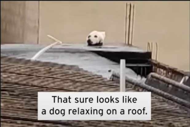 οπτική ψευδαίσθηση