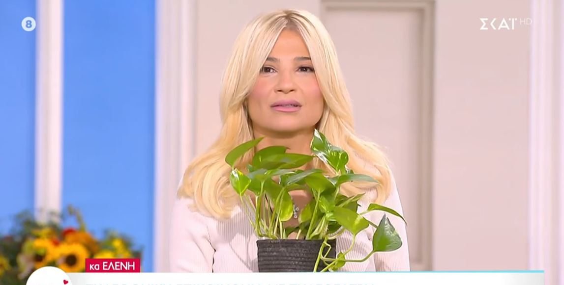 Φαίη Σκορδά: Αναστάτωση με το «γρουσούζικο» φυτό – Το πήγε δώρο στους «Αταίριαστους»