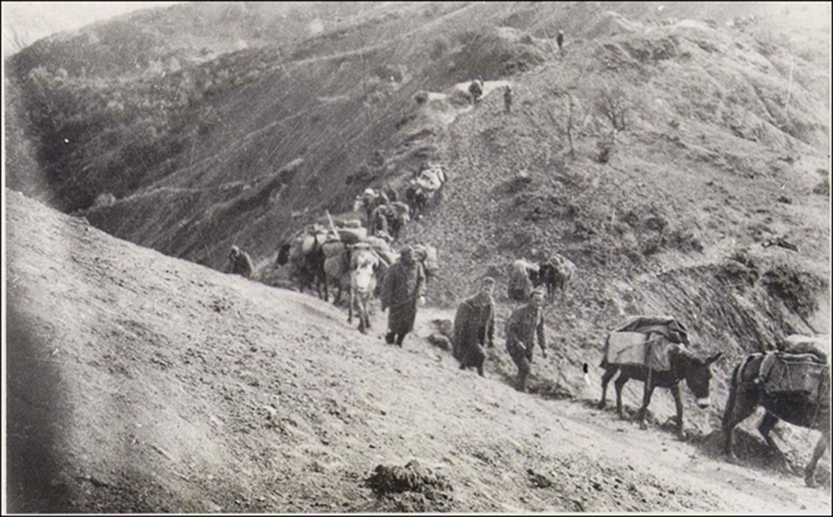 28η Οκτωβρίου: Τα «ζώα του πολέμου» – Άλογα και μουλάρια οι αφανείς ήρωες του 1940