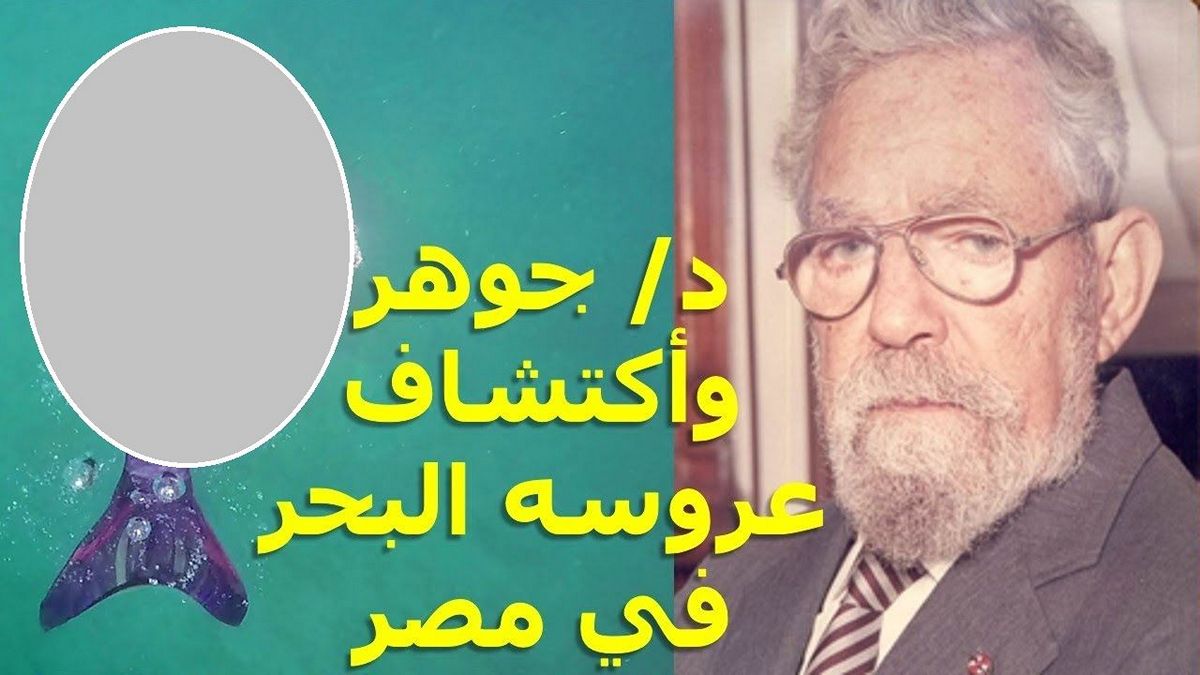 Hamed Gohar: Το Google Doodle για τον διάσημο Αιγύπτιο επιστήμονα