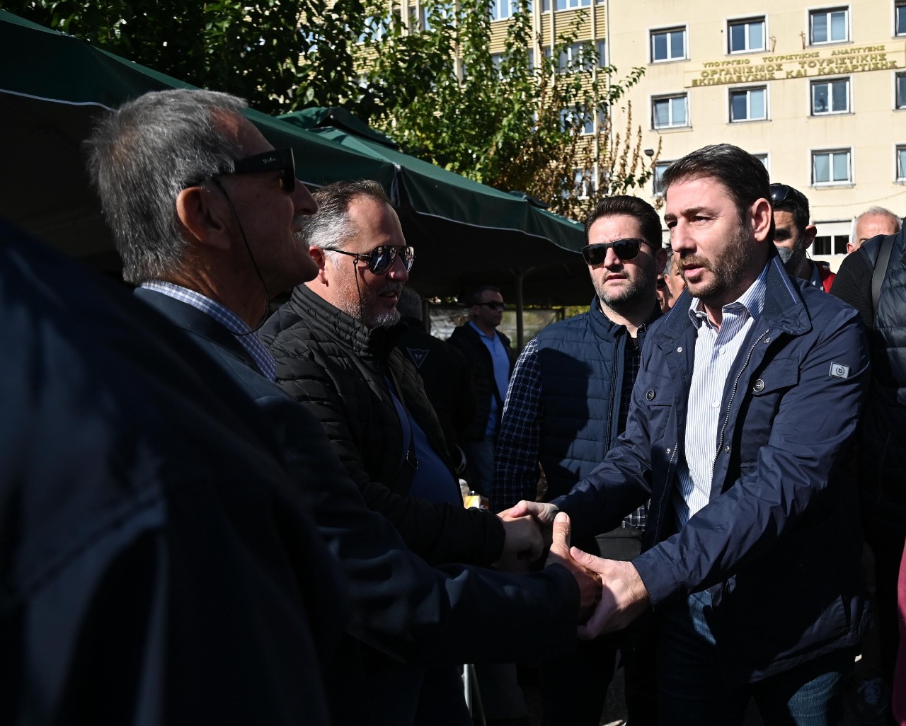 Νίκος Ανδρουλάκης - απεργία